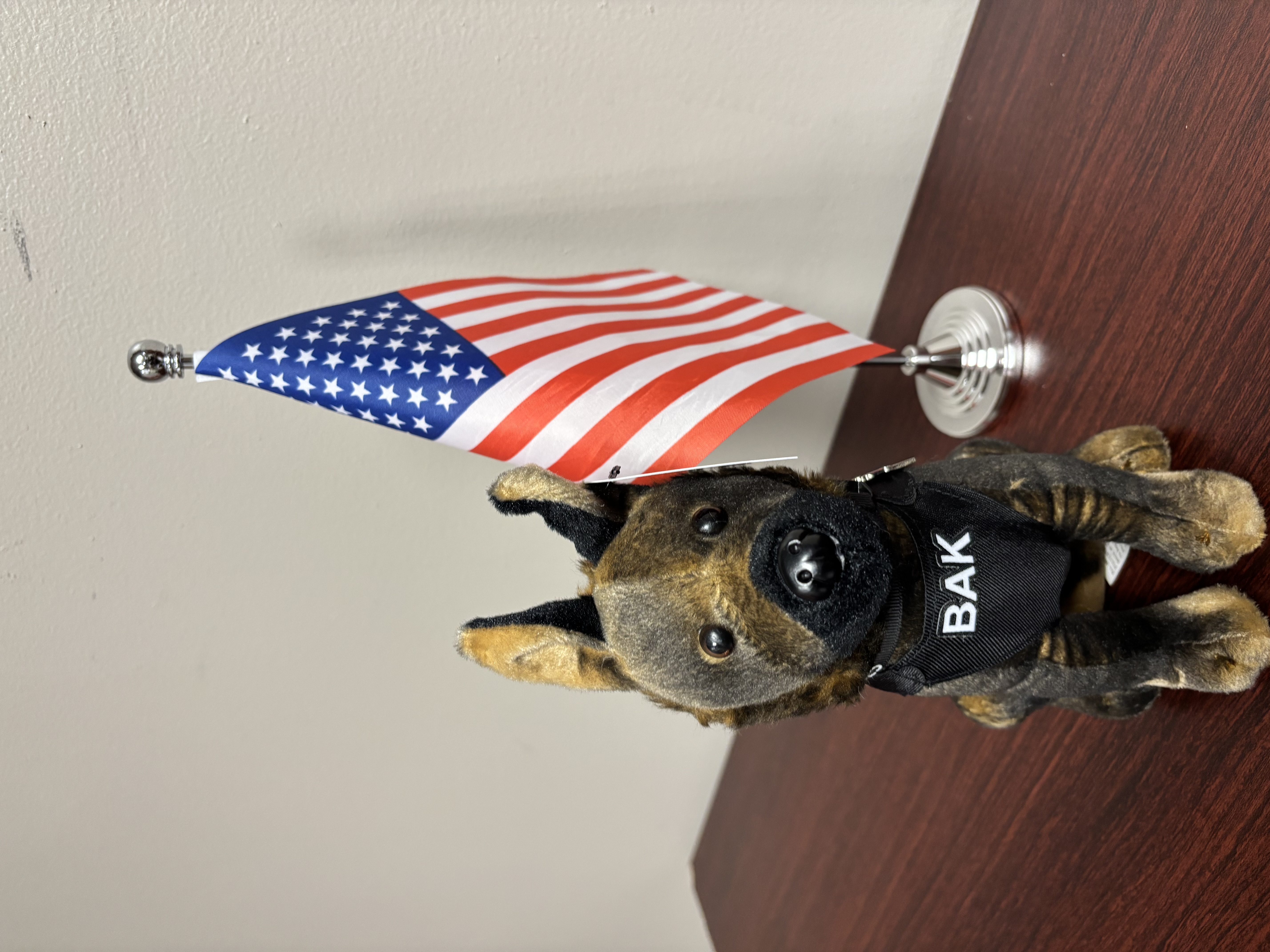 Cherokee County Sheriff's K9 team member